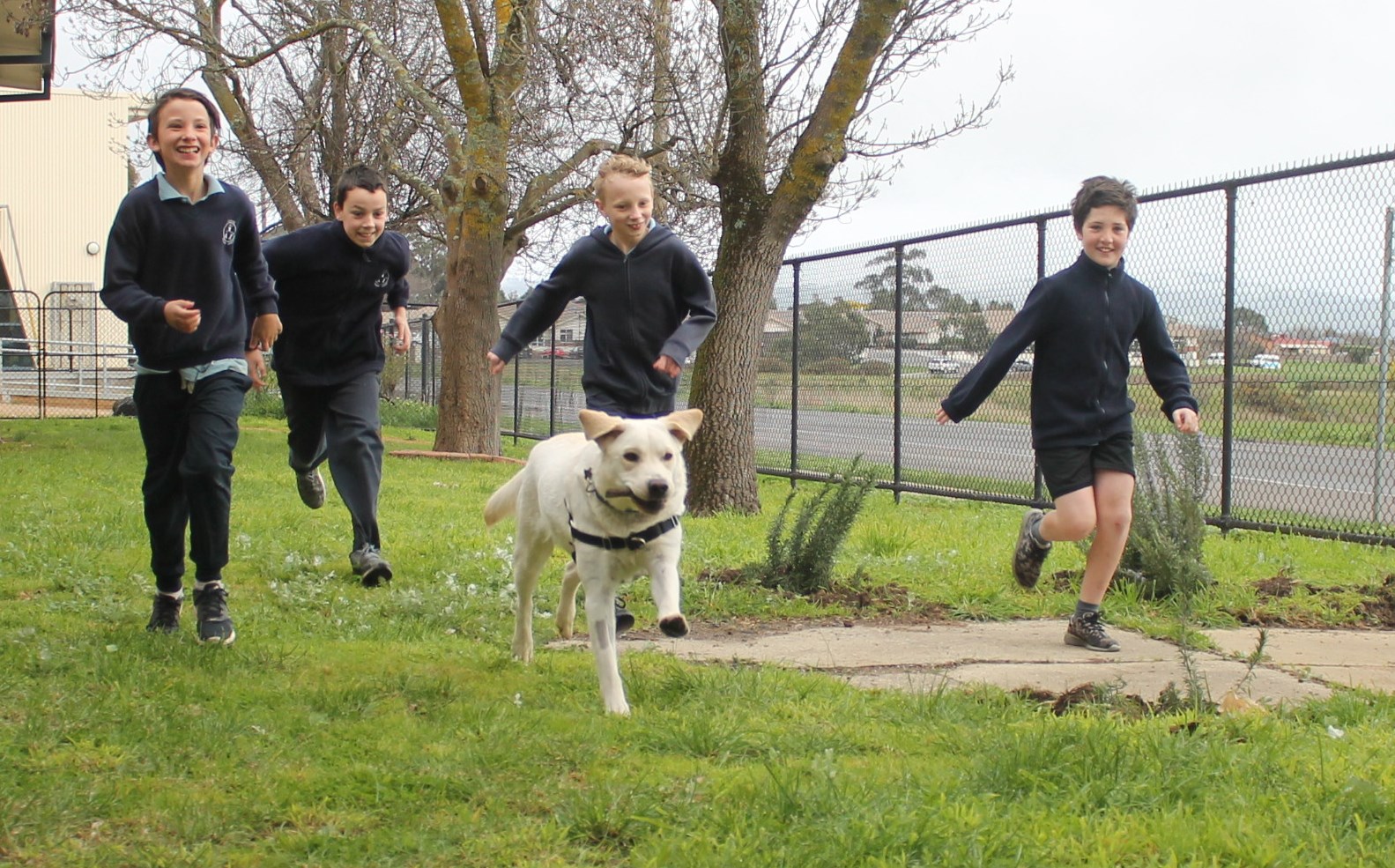 /uploaded_files/media/gallery/1508925375Asha running.jpg